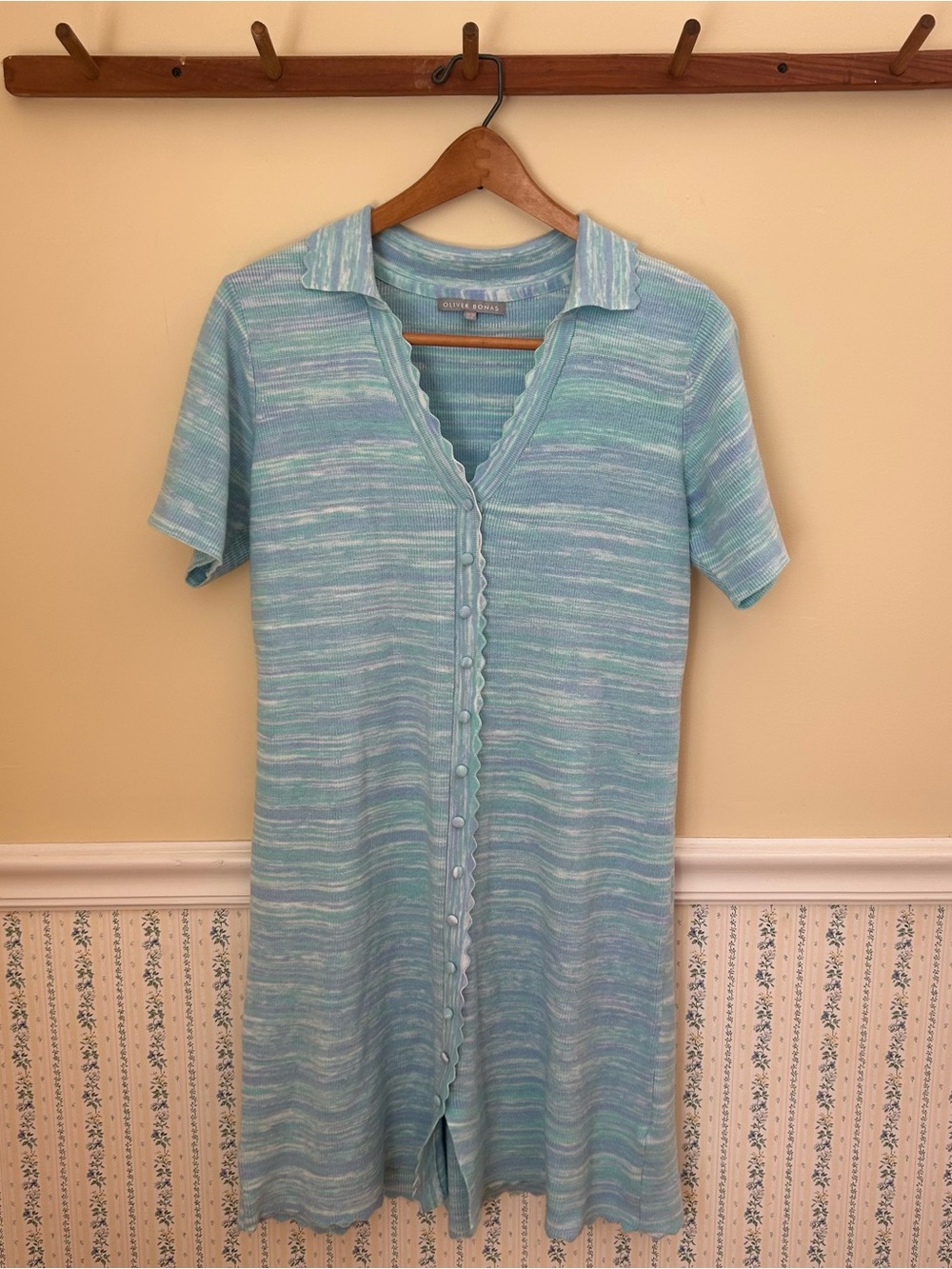 Oliver Bonas Collared Button Down Sweater Dress